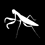 LaMantis_Disseny