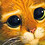meowzz