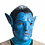 protanner